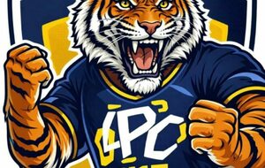 U15